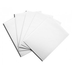 White (100 Sleeves) - Dragon Shield Standard Sleeves