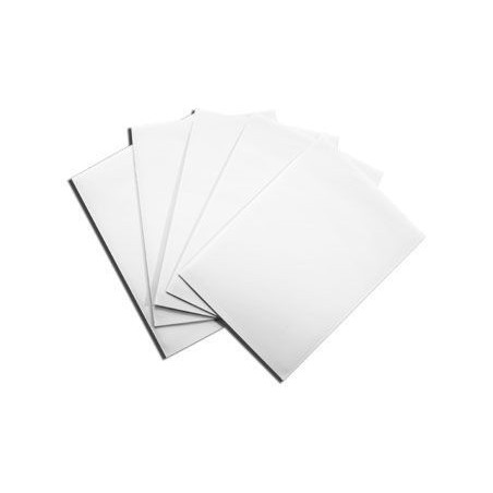 White (100 Sleeves) - Dragon Shield Standard Sleeves