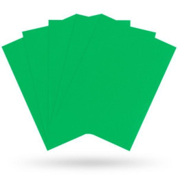 Dragon Shield Standard Sleeves - Matte Apple Green (100 Sleeves)