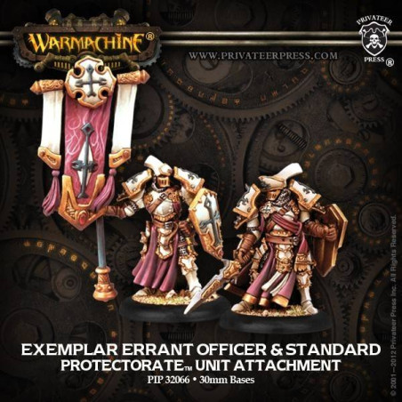 Exemplar Errant Officer & Standard