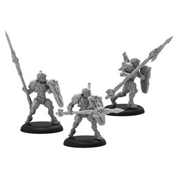 Warcaster Iron Star Alliance Paladin Defenders Squad