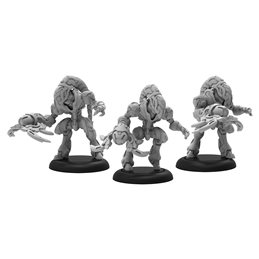 Warcaster Empyrean Saber Guardians Squad