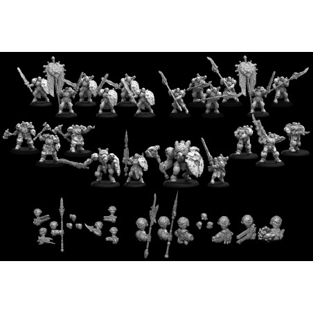 [PREVENTA] Cygnar Storm Legion Core Army Starter