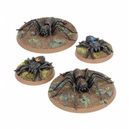 M-e Sbg: Spiders Of...