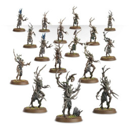 SYLVANETH: DRÍADES