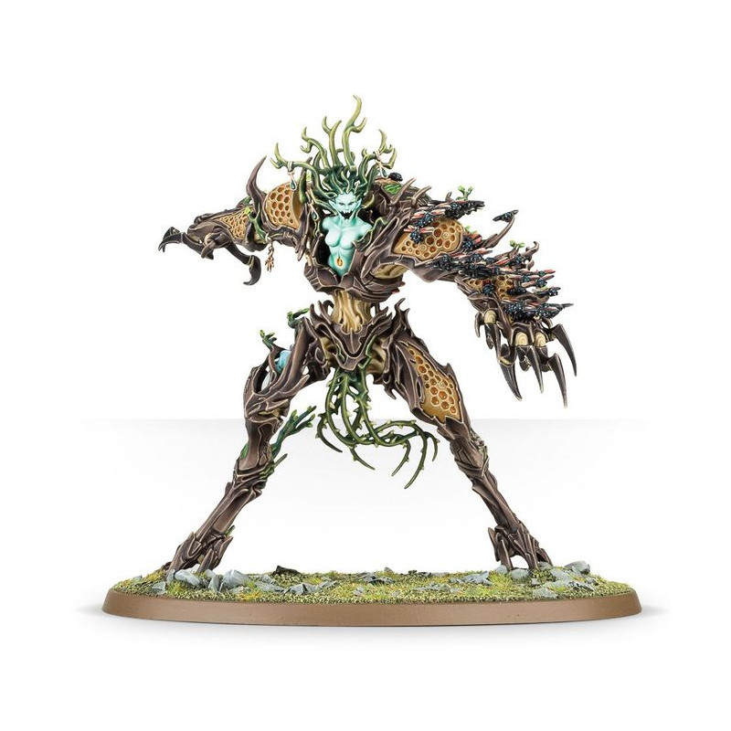 Drycha Hamadreth