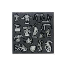 Witcher Old World-Foam insert for models