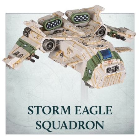 L/I Storm Eagle Squadron