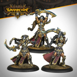 Warmachine: Warwitch Coven