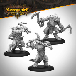 Warmachine: Talon Lashers