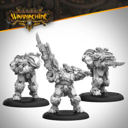 Warmachine: Tempest Thunderers