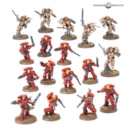 [PREVENTA] Patrulla: Blood Angels