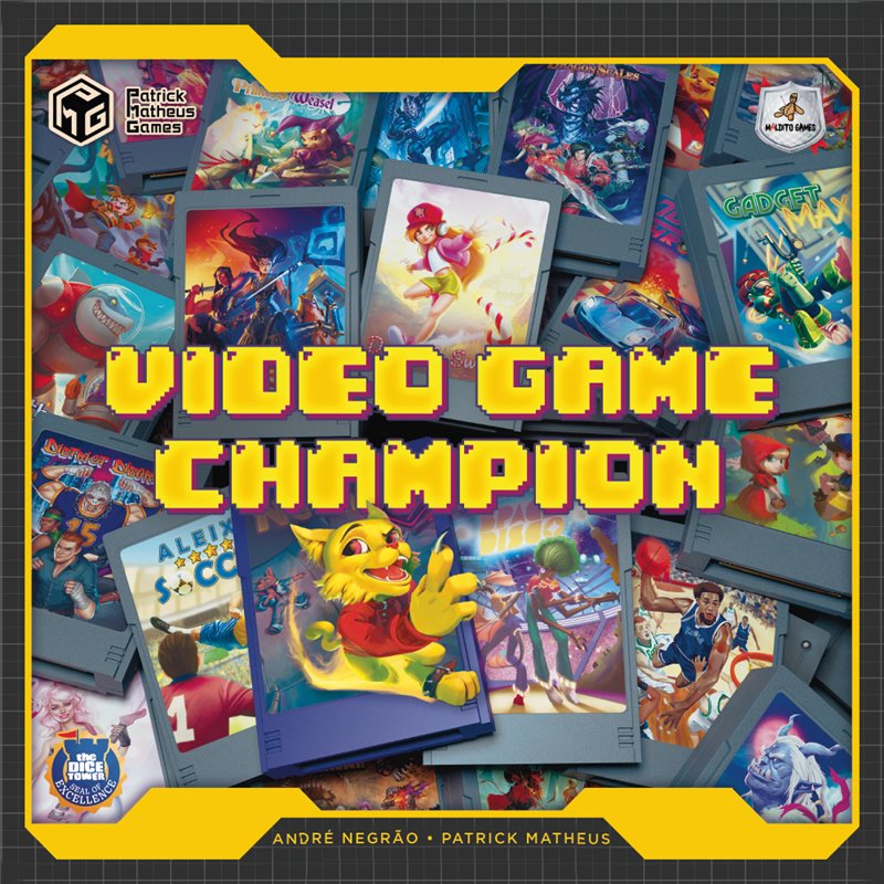 Video game champion